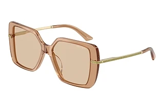 Jimmy Choo JC5048JU 507693 Light BrownTransparent Tan