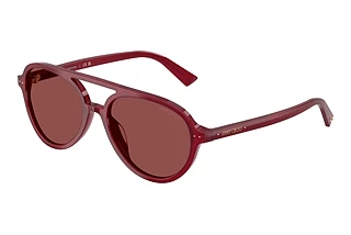 Jimmy Choo JC5055U 508175 Dark VioletOpaline Cranberry