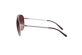 Sidovy Michael Kors ANTIGUA (MK1041 - 11088H)