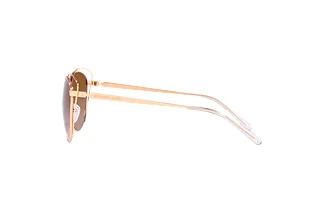 [glasses-side-view] Michael Kors RIMINI (MK1117 - 110813)