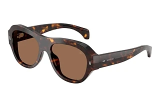 Moncler ME6015U 300273 Brown SolidShiny Havana