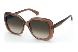 Nina Ricci SNR457 07AY BROWN GRADIENTSHINY TRANSP.BROWN
