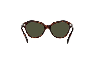 Vista posterior Persol PO0582S (24/31)