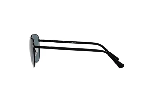 [glasses-side-view] Persol PO1002S (11513R)