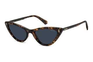 Polaroid PLD 6246/S 086/C3 BLUE POLARIZEDHAVANNA
