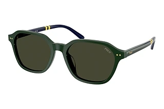 Polo PH4234U 614082 BrownShiny Green