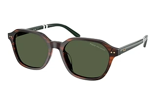 Polo PH4234U 63159A Polar GreenShiny Havana