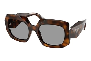 Prada PR B23S 20D50Q GreyJuniper Tortoise