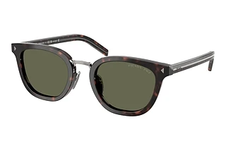 Prada PR C01SD 17N03R Green PolarRoot Havana
