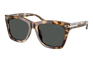 Ralph Lauren RL8235U 617887 GreySpotty Havana
