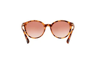 [glasses-back-view] Ralph RA5273 (588513)