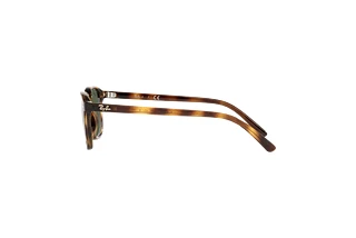 [glasses-side-view] Ray-Ban Kids JUNIOR LEONARD (RJ9093S - 152/71)