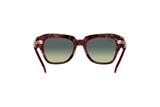 [glasses-back-view] Ray-Ban STATE STREET (RB2186 - 1323BH)