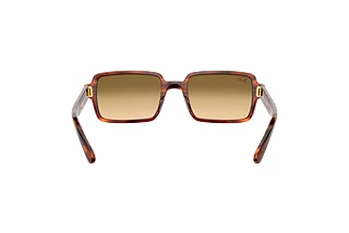 [glasses-back-view] Ray-Ban BENJI (RB2189 - 954/51)
