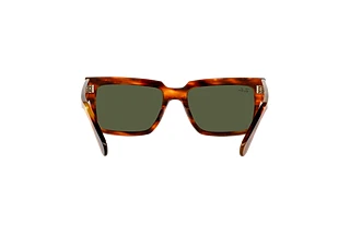 [glasses-back-view] Ray-Ban INVERNESS (RB2191 - 954/31)