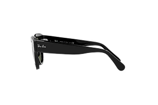 [glasses-side-view] Ray-Ban ROUNDABOUT (RB2192 - 901/31)