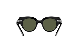 [glasses-back-view] Ray-Ban ROUNDABOUT (RB2192 - 901/31)