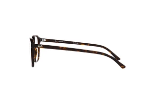 [glasses-side-view] Ray-Ban LEONARD (RB2193 - 902/GH)