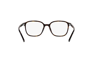 [glasses-back-view] Ray-Ban LEONARD (RB2193 - 902/GH)