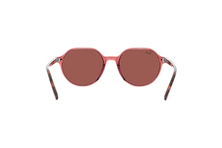 [glasses-back-view] Ray-Ban THALIA (RB2195 - 66372K)