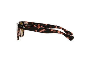 [glasses-side-view] Ray-Ban LARAMIE (RB2201 - 133451)