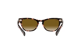 [glasses-back-view] Ray-Ban LARAMIE (RB2201 - 133451)