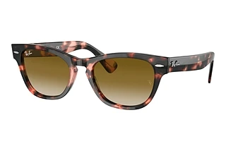 [glasses-front-view] Ray-Ban LARAMIE (RB2201 - 133451)