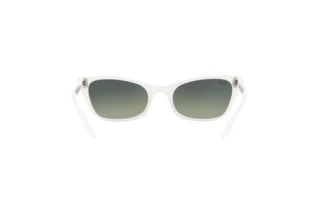[glasses-back-view] Ray-Ban LADY BURBANK (RB2299 - 975/BH)