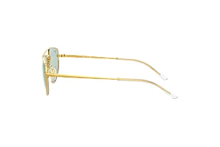 [glasses-side-view] Ray-Ban RB3668 (001/Q5)