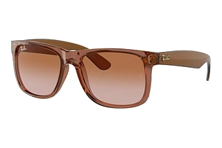 Ray-Ban RB4165 659413 BrownTransparent Light Brown