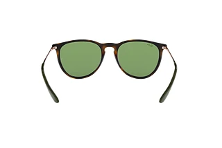 [glasses-back-view] Ray-Ban ERIKA (RB4171 - 6393/2)