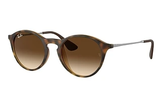 Ray-Ban RB4243 865/13
