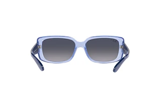 [glasses-back-view] Ray-Ban RB4389 (664578)