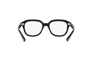 Vista posteriore Ray-Ban ERIK (RB4398 - 901/GH)