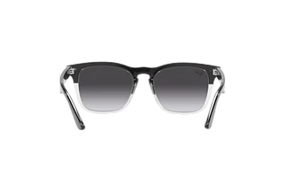 [glasses-back-view] Ray-Ban STEVE (RB4487 - 66308G)