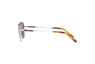 [glasses-side-view] Ray-Ban FRANK II TITANIUM (RB8258 - 3139O4)
