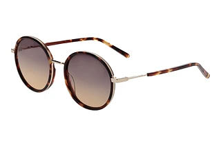 Scotch and Soda 507015 177 Braun