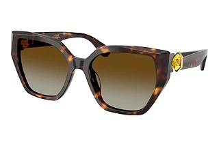 Swarovski SK6044U 1002T5 Brown Gradient PolarHavana