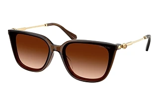 Swarovski SK6054D 108474 Gradient BrownTransparent Brown