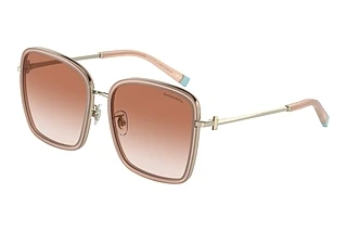 Tiffany TF3087D 602113 Pink GradientOpal Nude