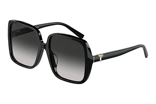 Tiffany TF4211D 80013C Gradient GreyBlack