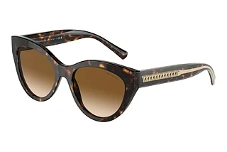 Tiffany TF4220 801551 Clear Gradient BrownHavana