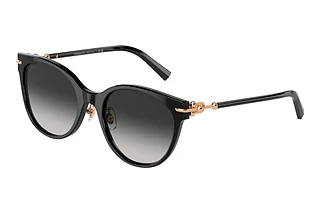 Tiffany TF4223D 80013C Black