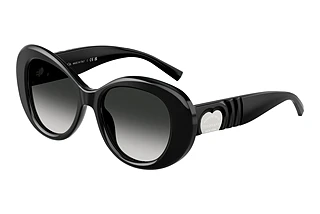 Tiffany TF4228 80013C Grey GradientBlack