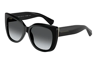 Tiffany TF4229 8001T3 Polar Grey GradientBlack