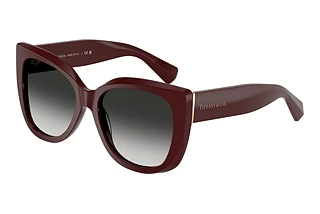 Tiffany TF4229 83893C Grey GradientBurgundy