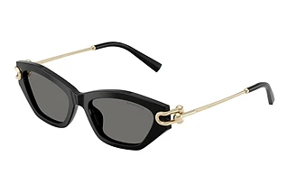 Tiffany TF4231U 800181 Dark Grey PolarBlack