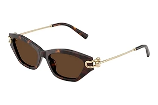 Tiffany TF4231U 80153G Light BrownHavana