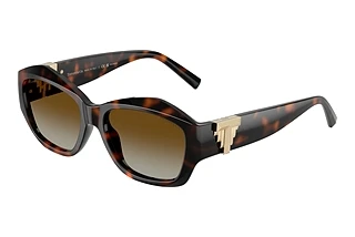 Tiffany TF4233U 8015T5 Polar Brown GradientHavana
