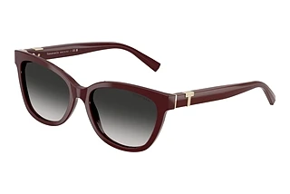 Tiffany TF4237B 83893C Grey GradientBurgundy